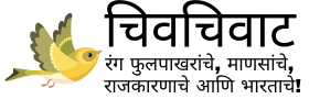 चिवचिवाट