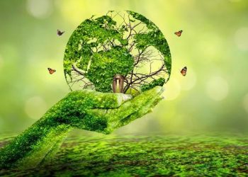 पर्यावरणा बद्दल जागरूकता असणे त्याचबरोबर निसर्गाच समतोल असंतुलित करणाऱ्या गोष्टींकडे लोकांनी आणि प्रशासनाने सुद्धा काळजीपूर्वक लक्ष देणे आवश्यक आहे हे आज आम्हाला समजणे आवश्यक आहे. पर्यावरण दिवस फक्त साजरा करून अर्थ नाही तर त्या दृष्टीने काम होणे सुद्धा आवश्यक आहे!