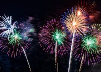 नवं वर्ष येतांना नवीन उत्साह , आनंद , रंग सोबत घेऊन येतो , सरत्या वर्षानी सर्वाना अनेक गोड कडू आठवणी दिल्या असतील नवीन वर्ष सुद्धा अनेकांसाठी त्याचप्रकाचे रंग परत एकदा घेऊन येतोय! नवीन वर्ष सर्वांचं रंगतदार आणि सुंदर होवो : वाचकवर्ग