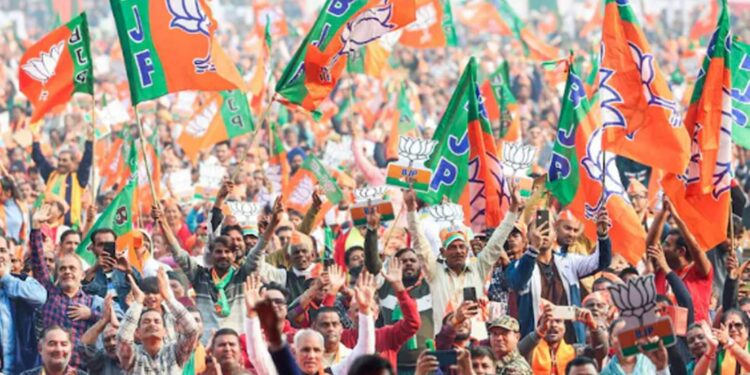 भाजपाचा कमळ या दिवसांत सगळी कडे फुलायला लागल आहे असं चित्र बघायला मिळत आहे