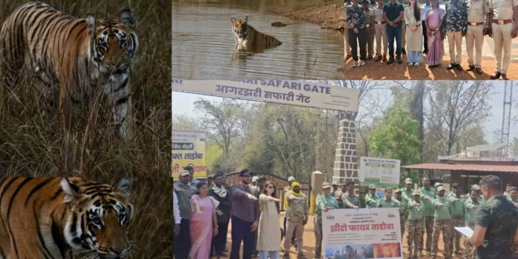 आम्ही जागतिक वन दिन मोठ्या उत्साहाने ताडोबाच्या अभयारण्यात भटकंती करून आणि वाघांचे दर्शन घेऊन साजरा केला .या दरम्यान आम्हाला कॉलर वाली वाघीण सुद्धा बघायला मिळाली: सोनाली कुलकर्णी