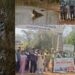 आम्ही जागतिक वन दिन मोठ्या उत्साहाने ताडोबाच्या अभयारण्यात भटकंती करून आणि वाघांचे दर्शन घेऊन साजरा केला .या दरम्यान आम्हाला कॉलर वाली वाघीण सुद्धा बघायला मिळाली: सोनाली कुलकर्णी