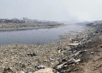 दरवर्षी पर्यावरण दिन साजरा करणे सोपे आहे, पण जेव्हा आपण आपल्या सभोवताली बघतो तेव्हा आपल्याला आपल्या पर्यावरणाची परिस्थिती काय आहे हे लक्षात येते.