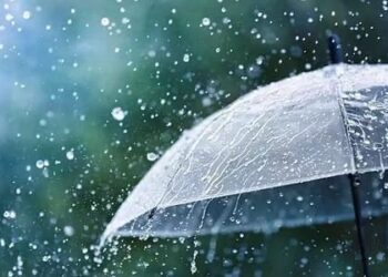 तीव्र उन्हाळ्याचे चटके सहन केल्यानंतर लोकं पावसाळ्याची आतुरतेने वाट बघत असतात. फक्त लोकच नाही , तर पक्षी , प्राणी आणि शेतकऱ्यांना सुद्धा पावसाचा येण्याची आशा लागलेली असते