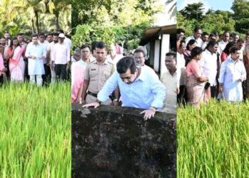 राज्यात असलेल्या दुष्काळजन्य परिस्थितीचा पार्श्ववभूमीवर मंत्री नितेश राणे यांनी, शेतकऱ्यांचा शेतावर जाऊन शेतकऱ्यांचा समस्या जाणून घेण्याचा प्रयत्न केला.